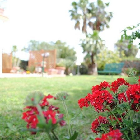 Villa Regina B&B Nettuno Luaran gambar