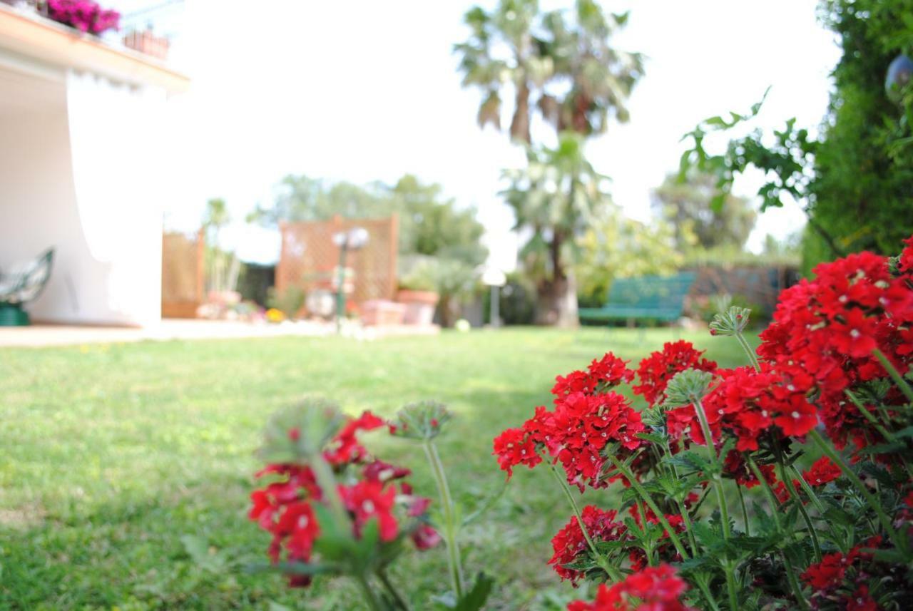 Villa Regina B&B Nettuno Luaran gambar